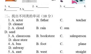 小学六年级期末试卷