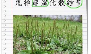 肺结节治疗方法吃什么