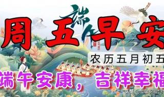 粽子节祝福图片